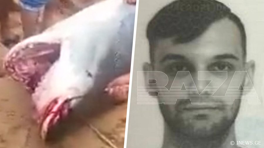 "მისკენ გავცურე, მაგრამ უკვე გვიანი იყო" - რას ამბობს ზვიგენის მიერ შეჭმული რუსი ტურისტის მამა