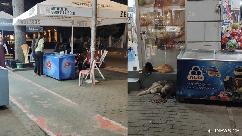 "დაგვიწყო დედის გინება და გამოვარდა აქანდაზით.. ამას ახლა ადამიანი ჰქვია?" - რა მოხდა ბათუმში