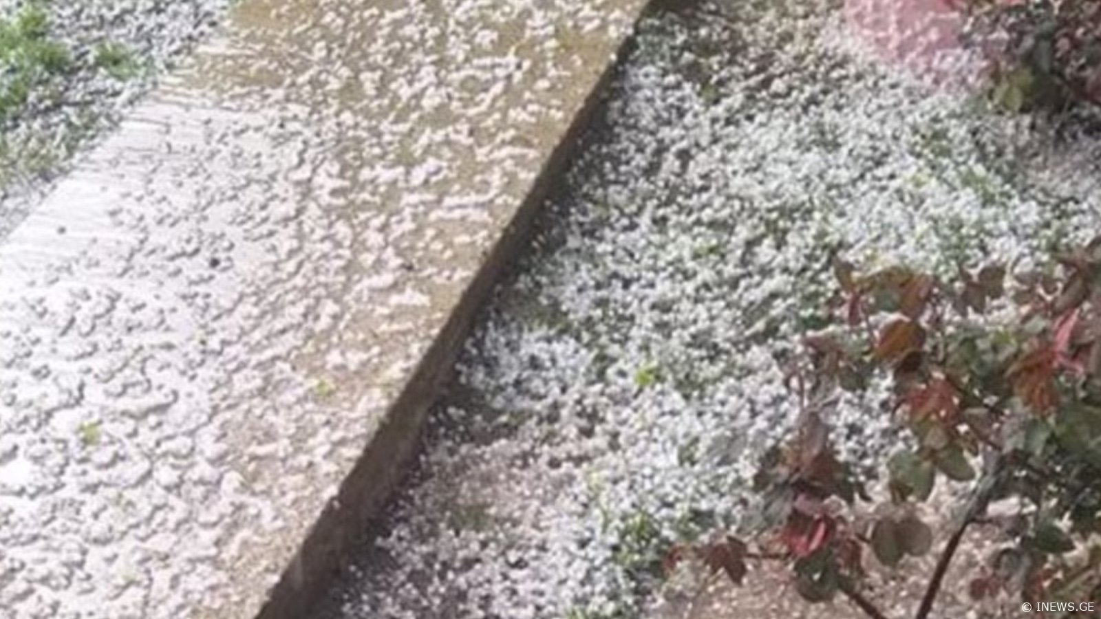 ვის აუნაზღაურებს სახელმწიფო სეტყვით მიყენებულ დიდ ზარალს - ინფორმაცია ცნობილია