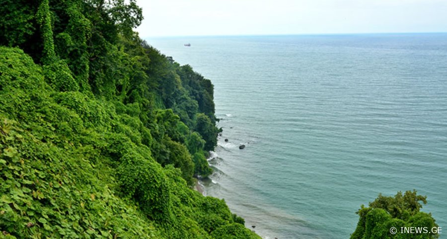 როგორია შავი ზღვის წყლის ხარისხი - გარემოს ეროვნული სააგენტის განცხადება