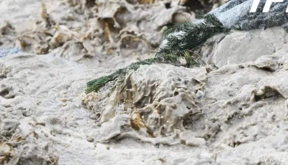 რამდენიმე წუთის წინ უმძიმესი ინფორმაცია გავრცელდა - 11 გარდაცვლილიდან მხოლოდ 6-ის იდენტიფიცირება მოხერხდა