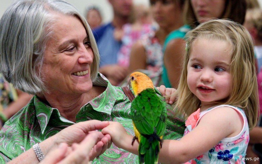 ბებიამ თავისი 5 წლის შვილიშვილი დაჭრა - ნახეთ, სად მოხდა შემთხვევა