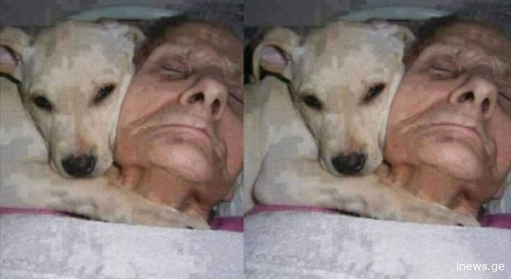 ქალი 1 წელი კომაში ჩავარდა… რაც გამოღვიძებისას თქვა, მსოფლიო ალაპარაკა