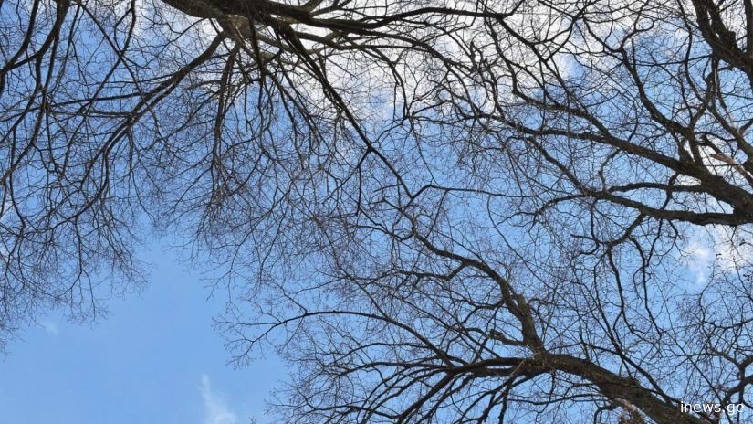 ახალი ინფორმაცია საქართველოში უახლოესი დღეების ამინდის შესახებ - ეს უნდა იცოდეთ