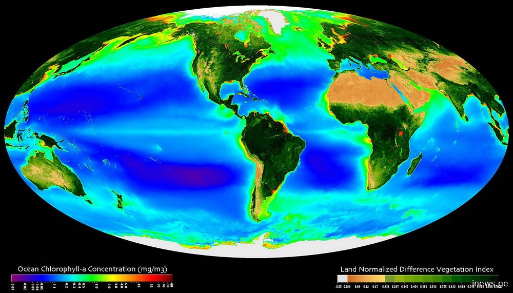 ეს უკვე კატასტროფაა - მსოფლიო ოკეანეში საგანგაშო ვითარება დადასტურდა და აღნიშნულ დიდ საფრთხეს გვიქმნის