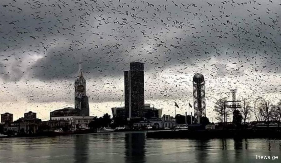 დროა, სახლში გავატაროთ დრო - ელჭექი, სეტყვა, ქარი, სინოპტიკოსების გაფრთხილება მოსალოდნელ ამინდზე