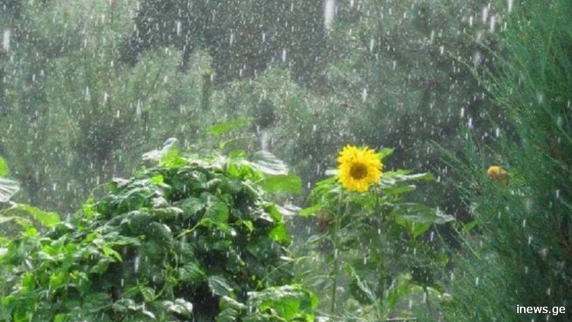 თბილისში ხანმოკლე წვიმა ელჭწექით - როგორ ამინდს უნდა ველოდოთ უახლოეს დღეებში