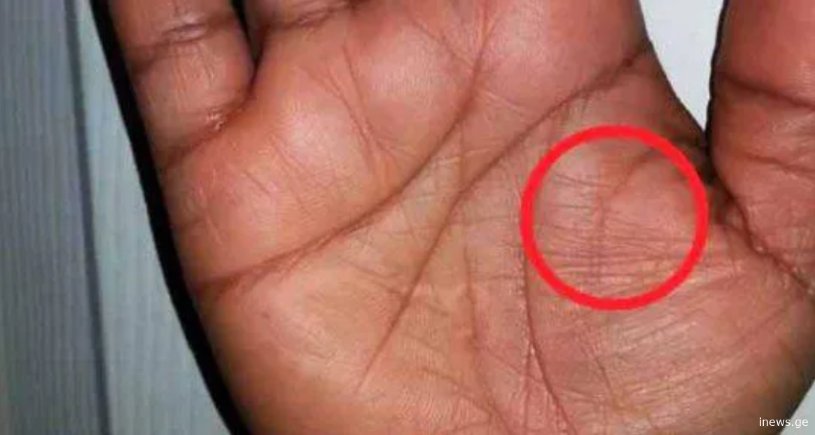 პარამეცნიერებები ეს ხაზი ყველას არ აქვს, თუ ის აღმოაჩინეთ, ძალიან გაგიმართლათ - რომელია მფარველი ანგელოზის ხაზი ხელის გულზე და რა უნდა იცოდეთ