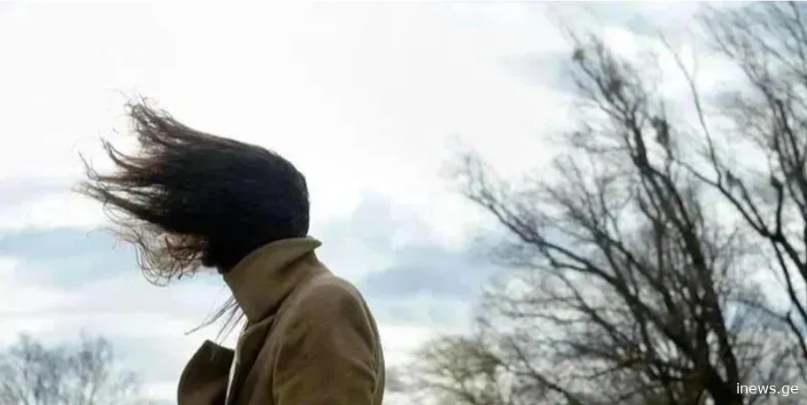 როდის არის მოსალოდნელი ძალიან ძლიერი ქარი საქართველოში - გარემოს ეროვნული სააგენტო პროგნოზს ავრცელებს?