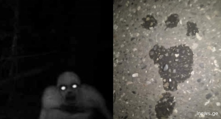 სოფელ ქაქუთის მოსახლეობა ამოუცნობ არსებას ეძებს: მაღალი, შუახნის, შავებში ჩაცმული მამაკაცი კარზე აკაკუნებს და შემდეგ ძალიან დიდი სისწრაფით გარბის…” – რას ამბობს ნათელმხილველი უჩვეულო ამბავზე?