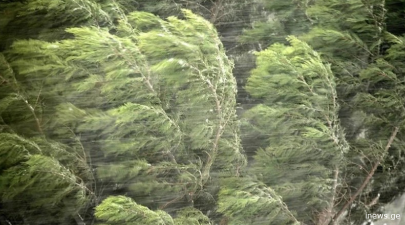 გაფრთხილება! - საქართველოში ძალიან ძლიერი ქარია მოსალოდნელი