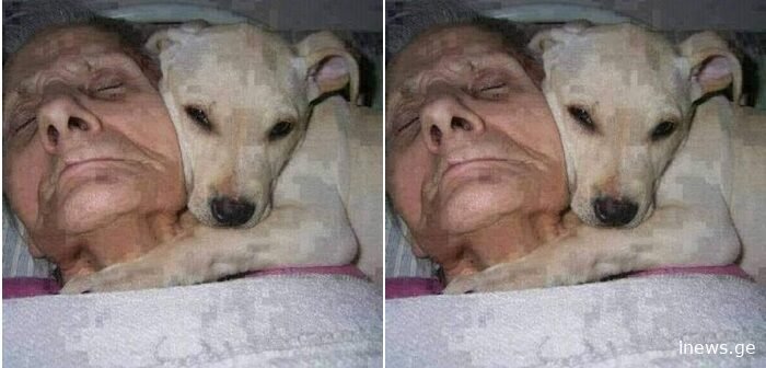 “კომაში ჩავარდა 1 წელი ქალი..” – ნახეთ რაც გამოღვიძებისას თქვა, მსოფლიო და მეცნიერები შოკში ჩააგდო