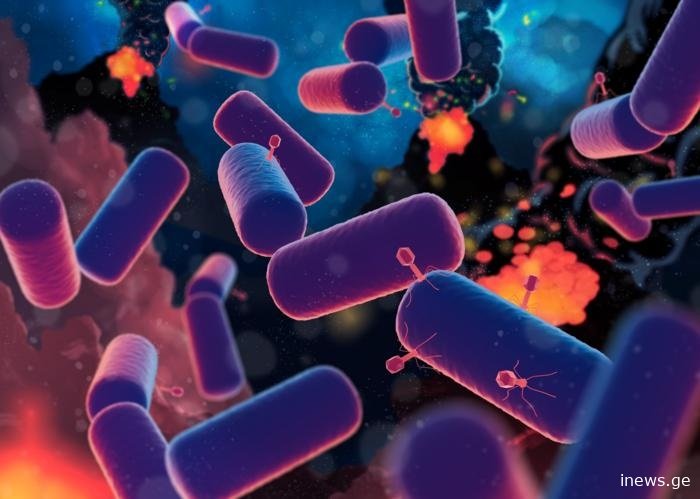 როდის და როგორ აღმოცენდა დედამიწაზე სიცოცხლე - მეცნიერებმა უნიკალურ რამეს მიაგნეს