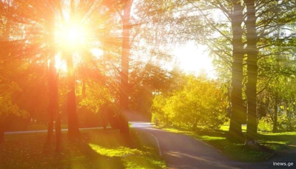 12 ნოემბრამდე მოსალოდნელი ამინდი საქართველოში