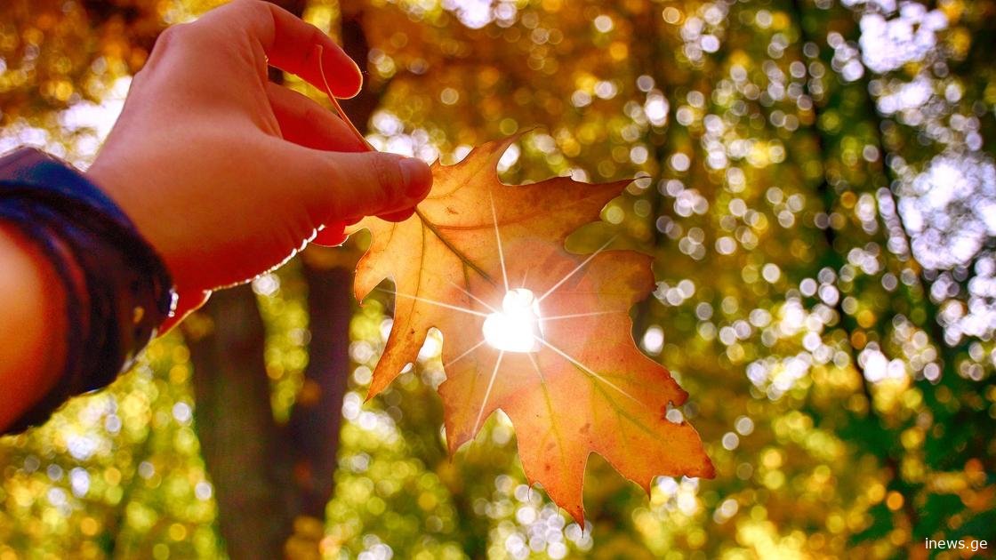 როდემდე შენარჩუნდება უნალექო ამინდი საქართველოში