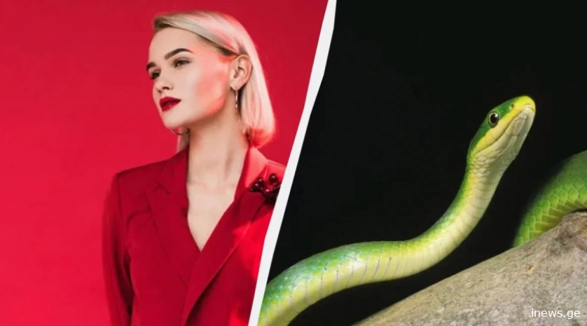 რატომ არ შეგვიძლია საახალწლოდ წითელი ფერის ჩაცმა