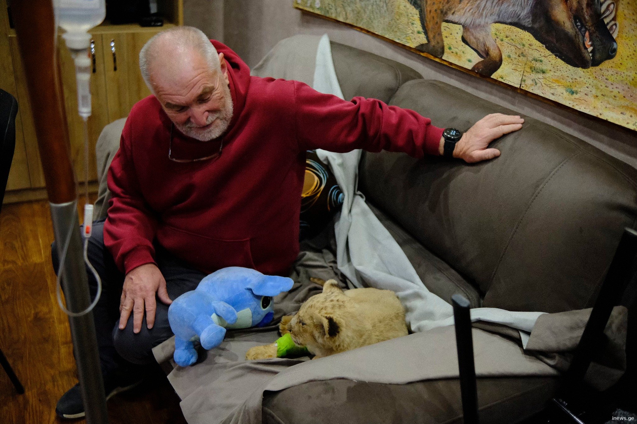 ზოოპარკში რომ არ მოეყვანათ, ბოკვერი მალე დაიღუპებოდა - რას წერს ცირა გვასალია?