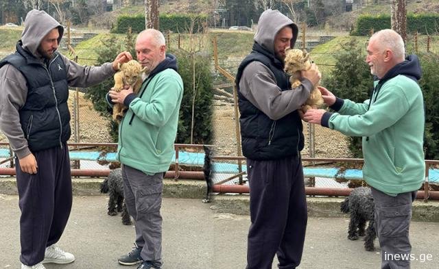 სერიოზული ვოლიერია მისთვის ასაშენებელი, რადგან... - რას ამბობს ზურაბ გურიელიძე ბექაურის ნაჩუქარ ბოკვერზე