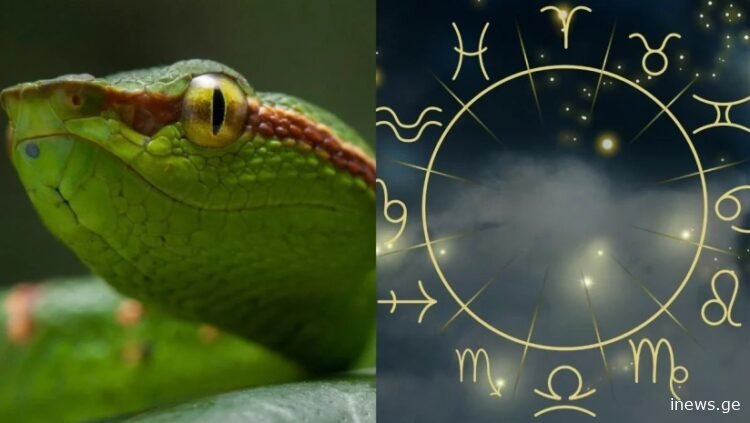 ხის გველის წელი ზოდიაქოს 7 ნიშნისთვის გარდამტეხი იქნება