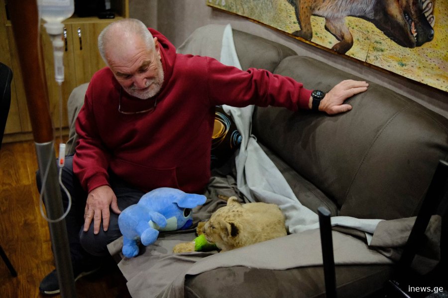 ზოოპარკში რომ არ მოეყვანათ, ბოკვერი მალე დაიღუპებოდა - რას წერს ცირა გვასალია?