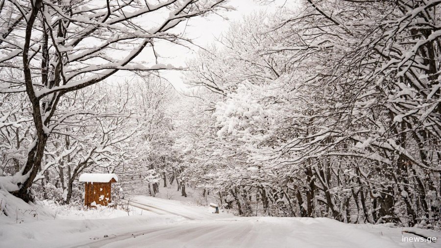 როგორი ამინდია მოსალოდნელი საქართველოში - უახლესი პროგნოზი ქალაქების მიხედვით