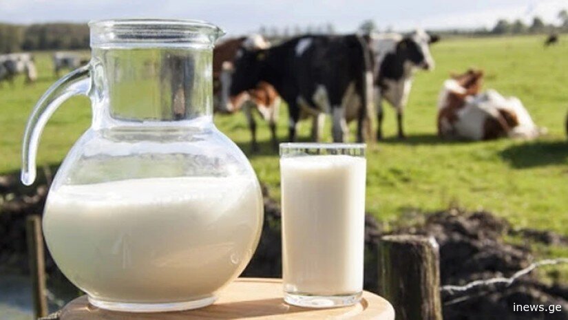 როგორ გავიგოთ, ნატურალურ რძეს ვსვამთ, თუ წყალში გაზავებულს - 2 მეთოდი და რჩევა