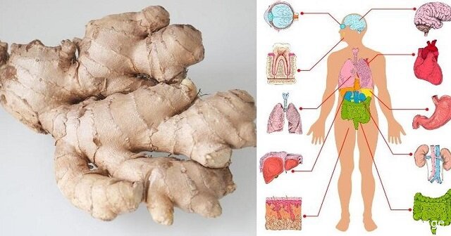 8 მიზეზი, თუ რატომ უნდა მივიღოთ ჯანჯაფილი ყოველდღიურად - რა შედეგები გვექნება