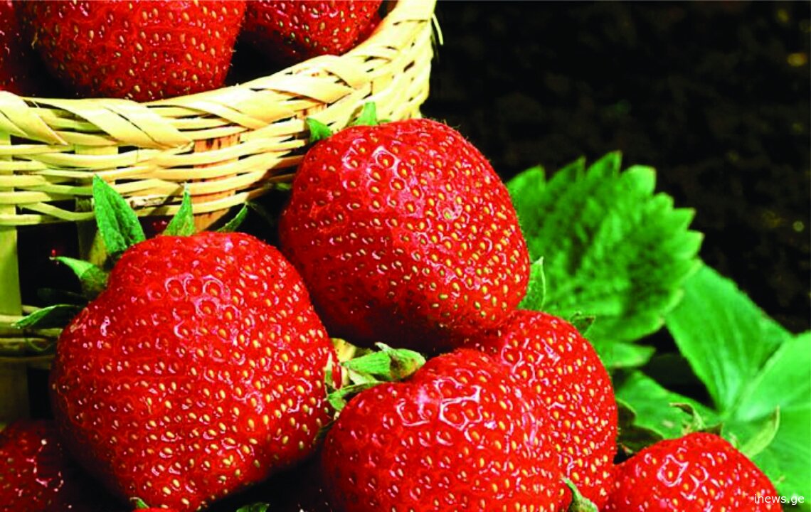 შეწყვიტეთ, რასაც არ უნდა აკეთებდეთ და წაიკითხეთ, თუ მარწყვი გიყვართ