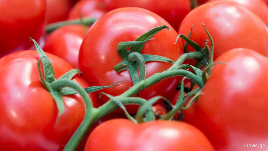 თუ წელს პომიდვრის დათესვას აპირებთ, აუცილებლად წაიკითხეთ ეს რჩევები