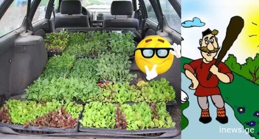 „ქმარს ომბალო დავაბარე და რა მომიტანა...“ − სახალისო ისტორები, რომლებიც გულიანად გაცინებთ