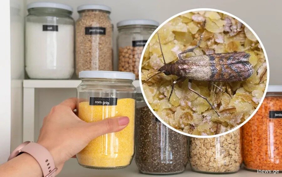 რა უნდა დადოთ სამზარეულოს კარადაში, რომ გააქროთ ჩრჩილი